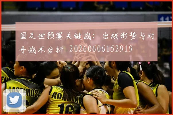 国足世预赛关键战:出线形势与对手战术分析_20260606152919